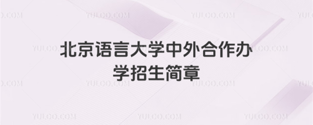 北京语言大学中外合作办学招生简章