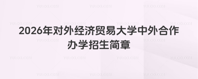 对外经济贸易大学中外合作办学招生简章
