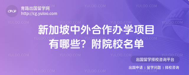 北京外国语大学中外合作办学项目
