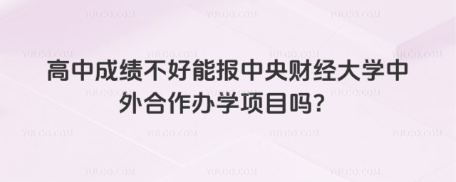 中央财经大学中外合作办学项目