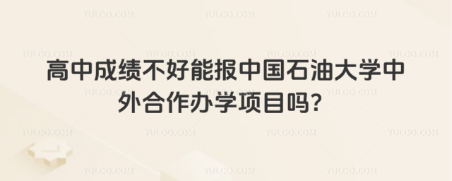 中国石油大学中外合作办学项目