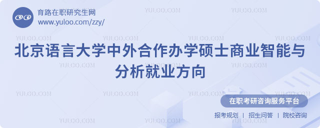 北京语言大学中外合作办学硕士商业智能与分析就业方向