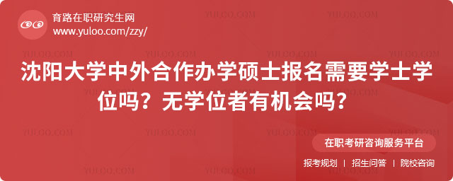 沈阳大学中外合作办学硕士报名需要学士学位吗