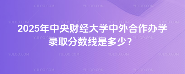 中央财经大学中外合作办学录取分数线