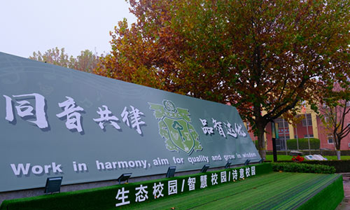 北京市通州区私立树人学校国内班艺术特长生招生