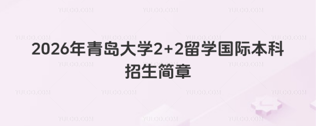 青岛大学国际本科招生简章