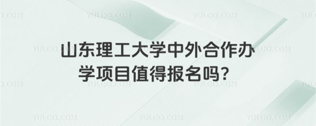 山东理工大学中外合作办学项目