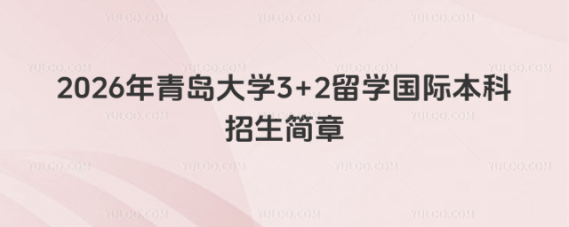 青岛大学国际本科招生简章