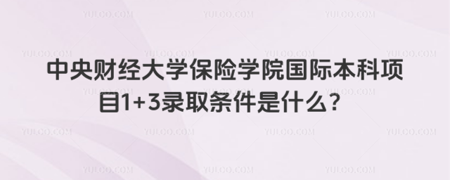 中央财经大学保险学院国际本科项目录取条件