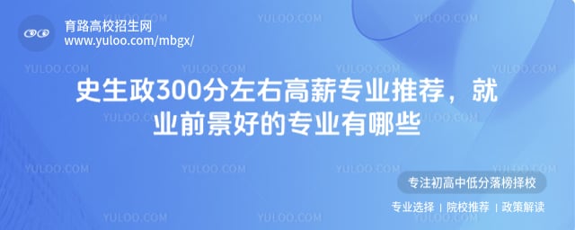 史生政300分左右高薪专业推荐