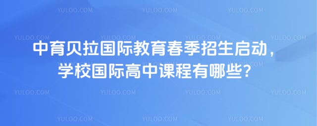 �����������ʽ�����������