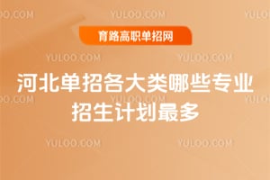 �ӱ����и�������Щרҵ�����ƻ���ࣿ