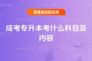 �ɿ�ר������ʲô��Ŀ�����ݣ�