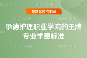 �е»���ְҵѧԺ������רҵѧ�ѱ�׼