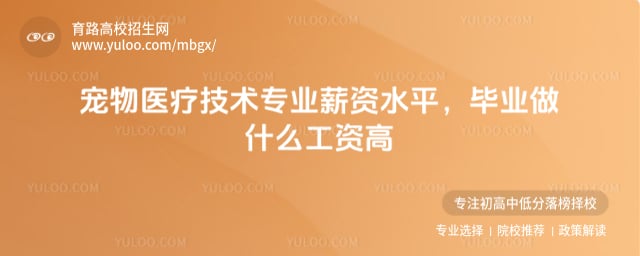 ����ҽ�Ƽ���רҵн��ˮƽ