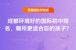 �ɶ������õĹ��ʳ����������������ʺ����ĺ��ӣ�