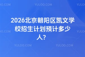 2026北京朝阳区凯文学校招生计划预计多少人？