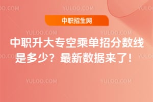 ��ְ����ר�ճ˵��з������Ƕ��٣�2025�������������ˣ�