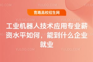 ��ҵ�����˼���Ӧ��רҵн��ˮƽ��Σ��ܵ�ʲô��ҵ��ҵ��