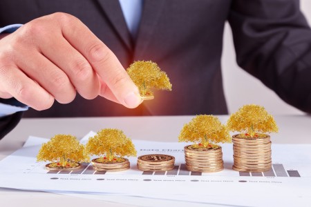 青苗学校各校区奖学金政策是怎么制定的？