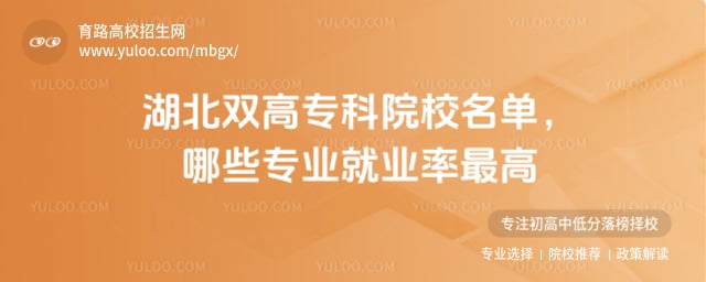 湖北雙高專科院校名單
