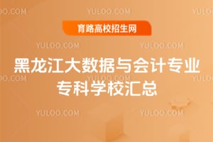 黑龙江大数据与会计专业专科学校汇总