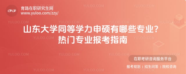 山东大学同等学力申硕有哪些专业