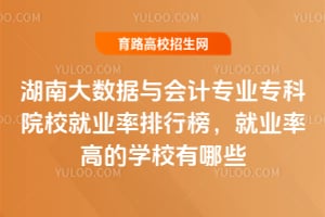 湖南大数据与会计专业专科院校就业率排行榜,就业率高的学校有哪些?