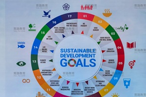 北京朝阳凯文学校学费标准与奖学金体系全解析