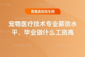 ����ҽ�Ƽ���רҵн��ˮƽ����ҵ��ʲô���ʸߣ�