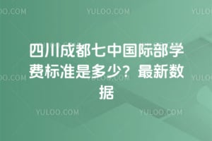 �Ĵ��ɶ����й��ʲ�ѧ�ѱ�׼�Ƕ��٣�2026����������