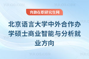 北京語言大學中外合作辦學碩士商業智能與分析就業方向