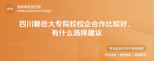 四川哪些大专院校校企合作比较好