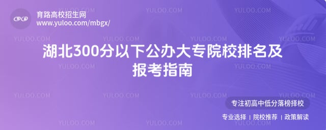 湖北300分以下公办大专院校