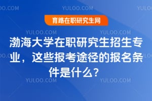 渤海大学在职研究生招生专业,2025年这些报考途径的报名条件是什么?