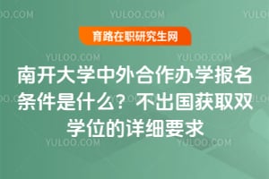 南开大学中外合作办学报名条件是什么？不出国获取双学位的详细要求