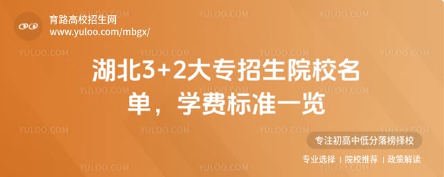 湖北3+2大專招生院校名單