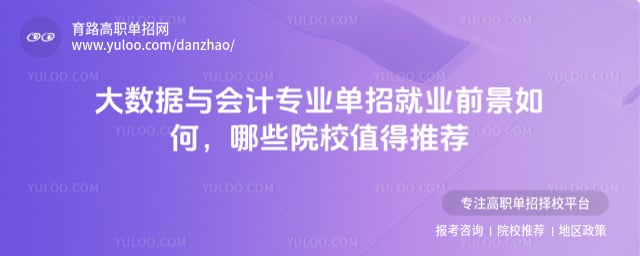 大数据与会计专业单招就业前景