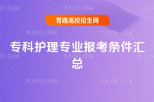 ר�ƻ���רҵ������������