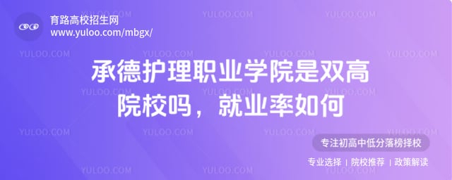 承德护理职业学院是双高院校吗