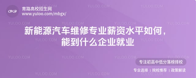 ����Դ����ά��רҵн��ˮƽ