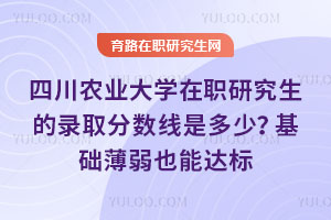 四川农业大学在职研究生的录取分数线是多少？基础薄弱也能达标