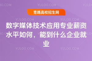 ����ý�弼��Ӧ��רҵн��ˮƽ��Σ��ܵ�ʲô��ҵ��ҵ��