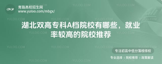 湖北双高专科A档院校有哪些