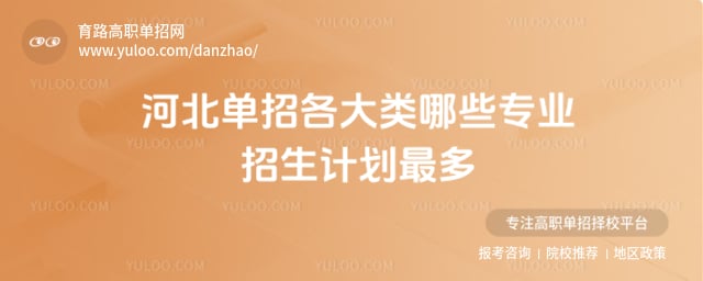 �ӱ����и�������Щרҵ�����ƻ����