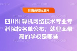四川计算机网络技术专业专科院校名单公布,就业率最高的学校是哪些?