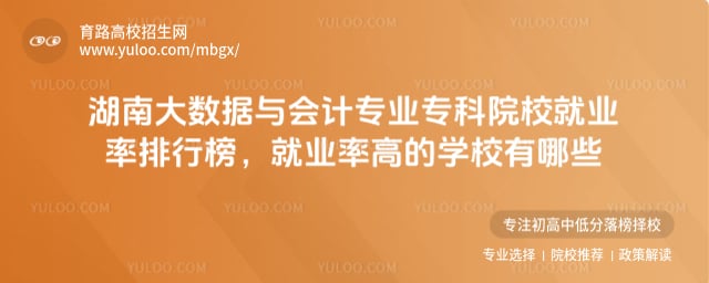 湖南大数据与会计专业专科院校就业率排行榜