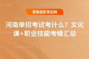 ���ϵ��п��Կ�ʲô���Ļ���+ְҵ���ܿ������