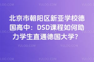 北京市朝阳区新亚学校德国高中：DSD课程如何助力学生直通德国大学？