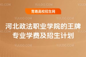 �ӱ�����ְҵѧԺ������רҵѧ�Ѽ������ƻ�